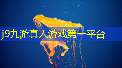 切片所有的3D游戏
